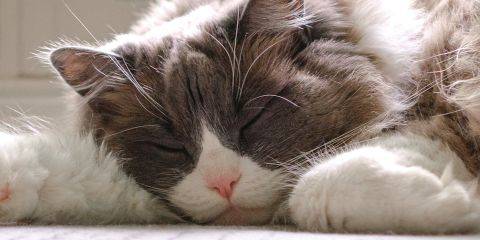 打开手机照片，突然发现自己的脸比起别人暗一阶，看起来很没精神。皮肤暗沉问题已悄悄来临，让整个人好像站在没有打灯的地方，整个人黯然失色。因此本篇文章要带大家来看的就是如何检测是否有皮肤暗沉问题，一起来找回亮白好气色！