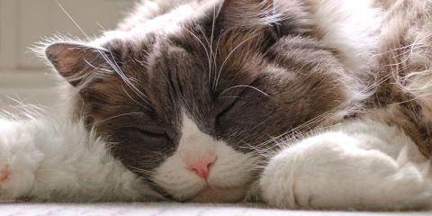 打开手机照片，突然发现自己的脸比起别人暗一阶，看起来很没精神。皮肤暗沉问题已悄悄来临，让整个人好像站在没有打灯的地方，整个人黯然失色。因此本篇文章要带大家来看的就是如何检测是否有皮肤暗沉问题，一起来找回亮白好气色！