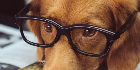 脸上斑点大不同，但其实都是来自黑色素的沉淀深浅有关。今天就让本篇文章带你好好认识一下浅层的斑点:黑斑、晒斑和雀斑。