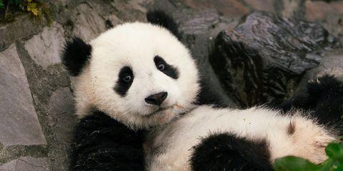 天生容易鼻塞、眼痒的你来说，眼周总是暗沉让人好沮丧，难道就只能这样无奈接受了吗?当然不是!现在就让本文来解答你心中的疑问吧。