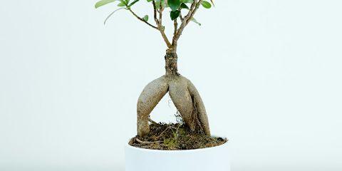 激素变化让肌肤出现明显改变，但其实还有一些「看不见的内在危机」也在影响肤况，想要让保养事半功倍，现在就跟着本篇文章一起深入了解这些抗老盲点吧!