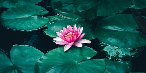 干肌怎么保养才有感?今天本篇文章带你掌握干肌专属的保养四步骤，加码告诉你有效的保湿成分，让你不在是抹心安，让肌肤真正喝饱水。