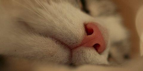 体味让你尴尬到不敢靠近人?为了盖住体味的你，是不是买过很多体香剂，但效果总是不持久?别担心，这只是你用错方法除臭导致，今天就让本篇文章教你如何正确除臭吧。