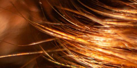 是不是也曾为头发毛躁、干涩、没有光泽而烦恼？其实，这很可能是毛鳞片受损的警讯！想要好好照顾毛发的健康，现在就跟着本篇文章一起了解一下毛发的剖面藏着什么保养讯息吧。