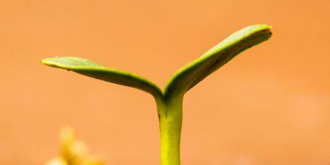 虽然知道这是肉芽并不会危害健康，但心里却还是有点在意它的出现对吧?那么今天就让本篇文章为你解答，了解长肉芽的原因有哪些吧。