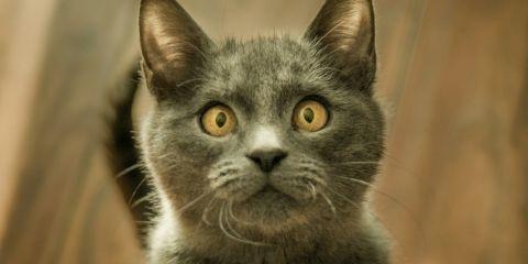 汉方美容强调通过气血调养让肌肤达到自然透亮状态,但是你知道自己的气血是否有足够吗?其实看起来疲惫、手脚冰冷等都可能是气血不足的表现。现在就跟着本文一起检查你身体是否正在发出求救讯号吧。