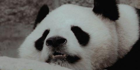 搞懂了黑眼圈类型后,接下来跟着本文来了解一下如何快速改善吧!让你从日常保养到生活习惯,一步步帮你淡化黑眼圈。