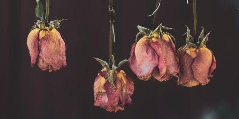 保湿精华、面霜通通买齐了,肌肤却还是干干的吗?这可能是你对「干性肌肤」的认识还不够深入,今天就让本篇文章来为你解析干肌真正原因,让你的保养不在只是形式,可以有效滋润肌肤。