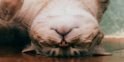 一定是过敏才会变敏感肌吗?肤况时好时坏就代表自己是敏感肌?先别急着下定论,今天本篇文章陪你一起分辨真正的敏感肌特征,让你不再一头雾水!