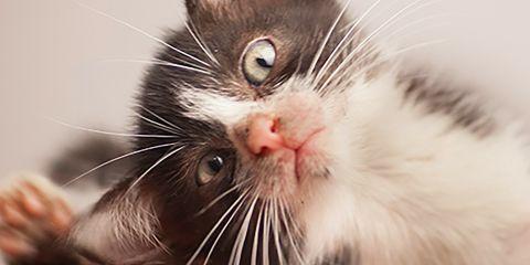 了解了敏感肌的古怪脾气后,现在是时候让它乖乖听话了!今天本篇文章教你三招保养技巧,帮助你对抗敏感肌的小脾气。