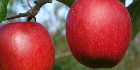 脸是不是常常红得像刚喝完一杯?别以为是天气热或害羞,这可能是「酒糟肌」找上门了!今天就让本篇文章来带你了解什么是酒糟肌,帮你稳定肤况吧!