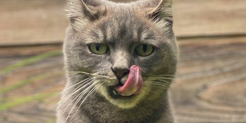 除了平时不经意的小习惯让嘴唇变干之外,你知道吗?还有8大NG行为默默让你嘴唇拔干!今天就让本篇文章为你揭开这些NG行为,让你轻松远离干燥。