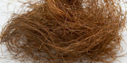 你是不是也开始担心发际线悄悄后退、头发越来越稀疏?总是搞不懂为什么自己会开始秃头?别担心,今天就让本篇文章带你了解造成秃头的原因,让你的秀发更健康。