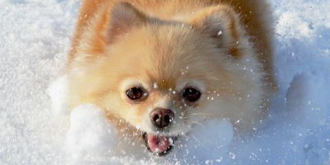 最近是不是总觉得头皮痒痒的,轻轻一抓还会掉下许多白屑?是头没有洗干净吗?其实不一定喔!今天就让本篇文章来带你认识头皮屑怎么形成的吧。