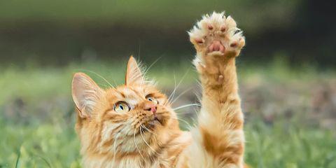 每次流汗后,妳是否也常觉得皮肤痒痒的、不太舒服?但妳真的确定,是「流汗」本身造成的吗?今天就跟着本篇文章自我检测一下,找出肌肤搔痒的正确原因吧。