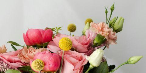 除了常见的磨砂膏、清洁泥膜和洗脸机,其实还有一种深层的去角质方式,那就是化学性焕肤!不仅能让肌肤变的细致透亮,还可以改善暗沉、细纹的问题。现在就跟着本篇文章一起来了解一下吧。