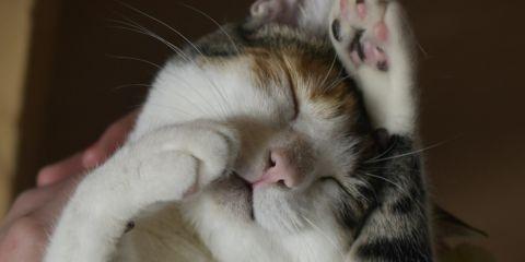 天气转凉后,肌肤特别容易觉得干痒不适?即使擦了保湿乳液效果还是很有限?其实,冬季皮肤痒的问题不一定是干燥造成的。今天就让本篇文章告诉你还有什么因素造成冬季干痒吧。