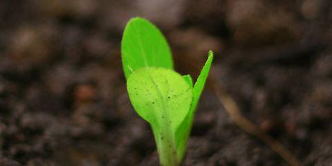 虽然大多数的肉芽都是良性的,但你是不是还是想确认一下这颗真的没事吗?别担心,今天就让本篇文章教你如何自我检测肉芽是不是良性的,快一起来看看吧。