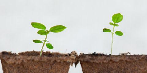 虽然肉芽对健康没有影响,但是还是想要处理掉那个小突起,恢复光滑肌肤吗?今天本篇文章帮你整理了常见治疗肉芽的方式,来帮助你改善,快一起来看看吧。