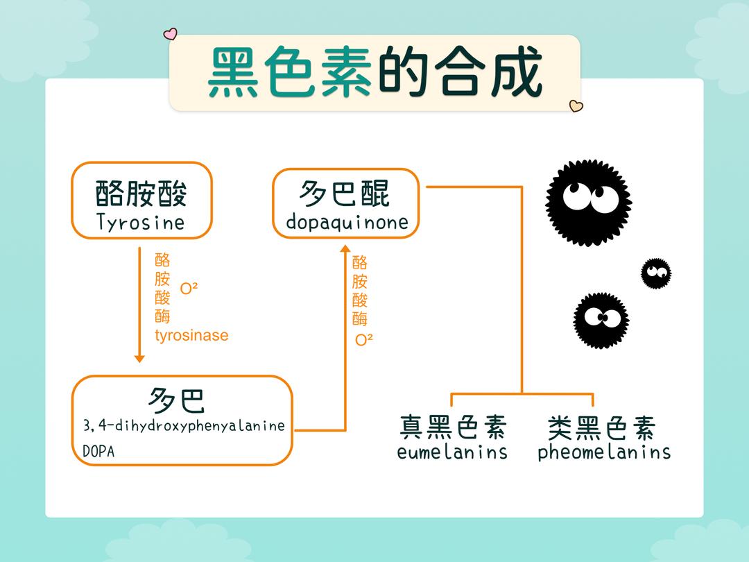 天生晒不黑?!有可能吗?