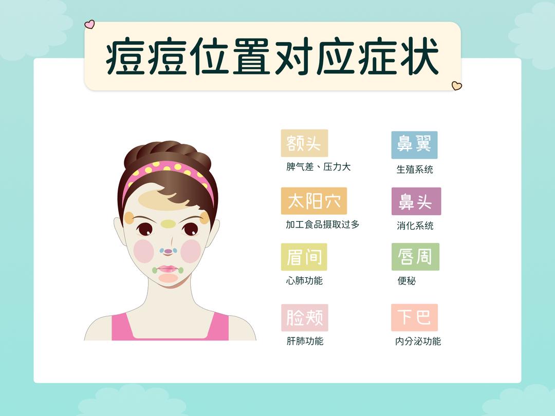 痘痘位置对应的症状