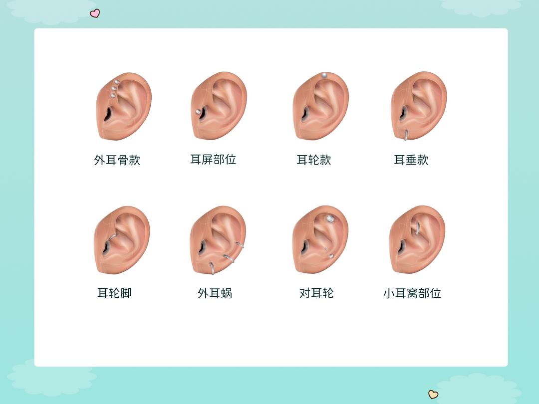 耳洞位置