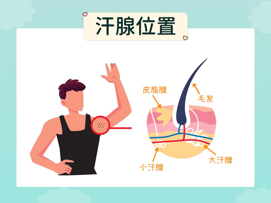 狐臭是从何而来的呢?