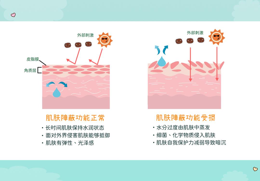 肌肤保护作用