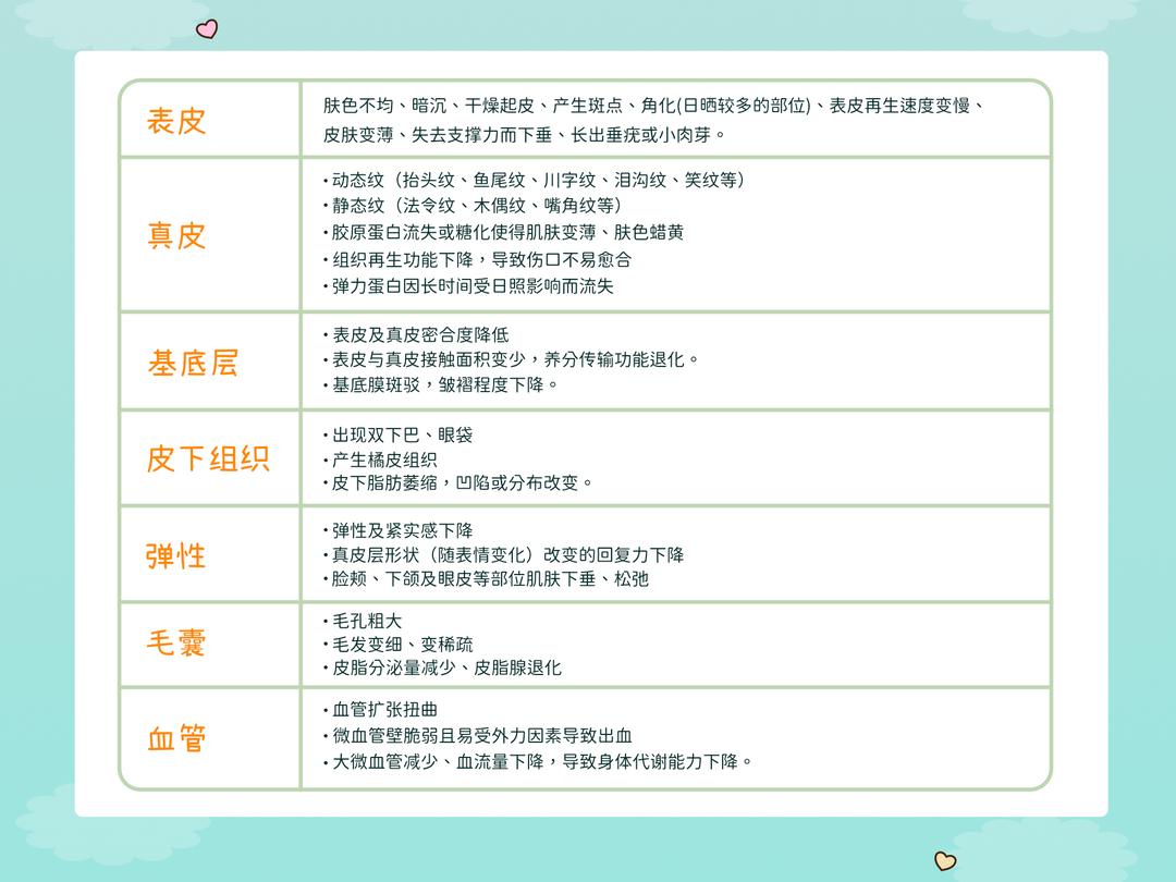 肌肤老化的生理状况